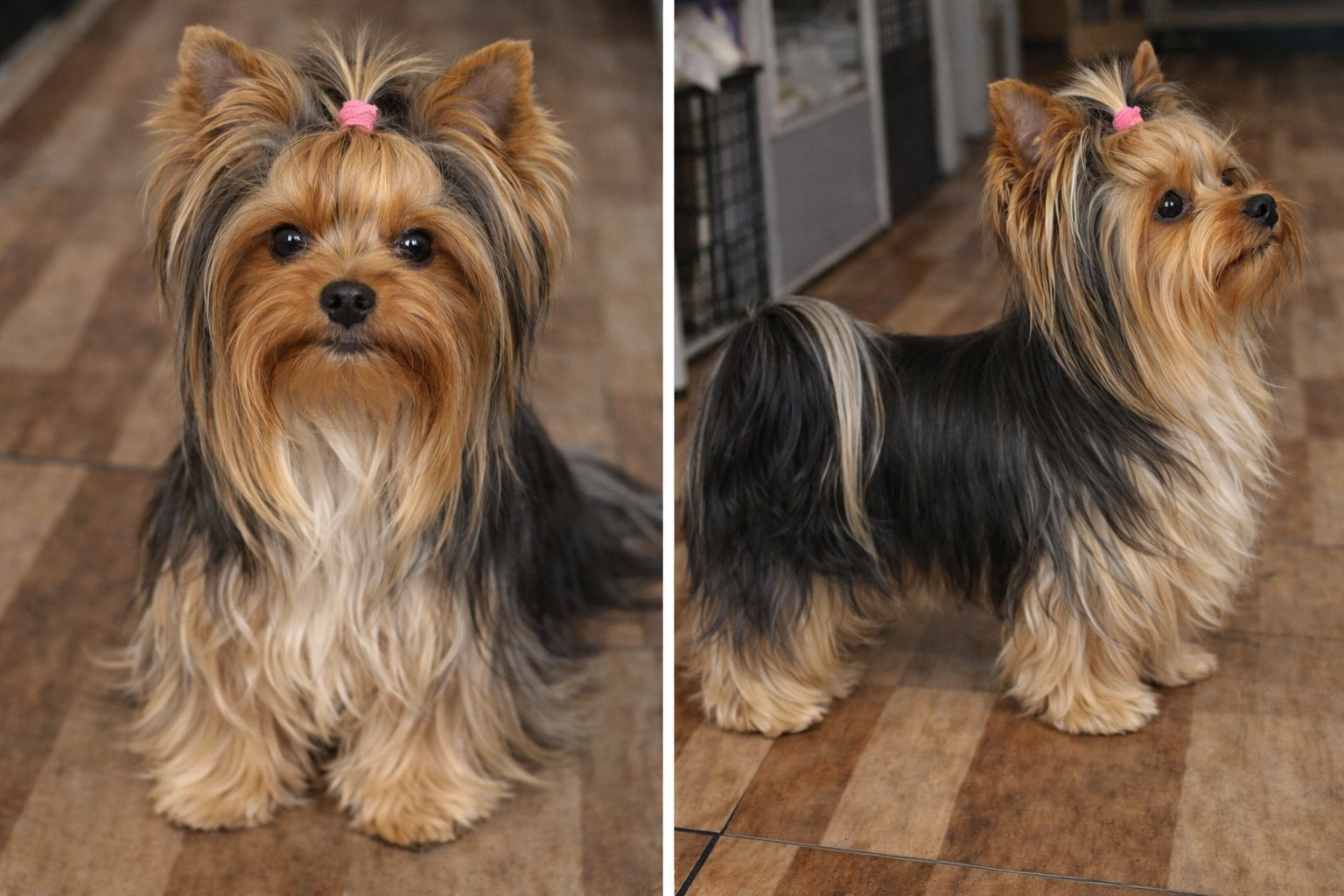 ChatGPT Image 29. 12. 2025, 19_42_01